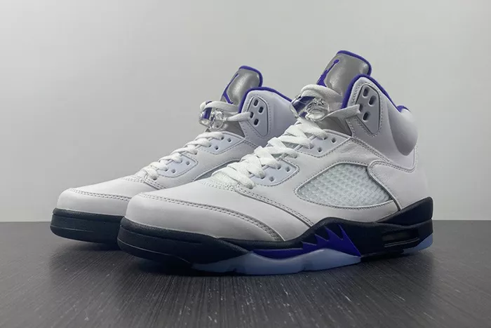 Air Jordan5 CONCORD DD0587-141